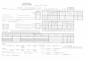 Путевой лист «нового образца» (пачкой 100 штук)